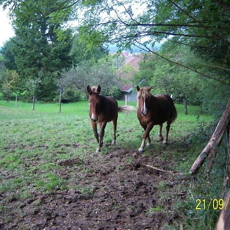 2 Chambres D'Hotes Privees Louees Separement Avec Communs A Partager Beaufort  Экстерьер фото