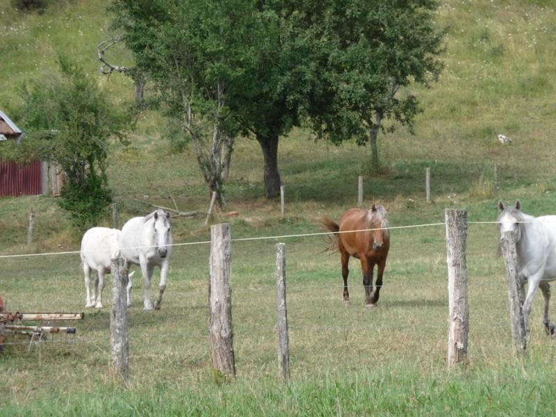 2 Chambres D'Hotes Privees Louees Separement Avec Communs A Partager Beaufort  Экстерьер фото